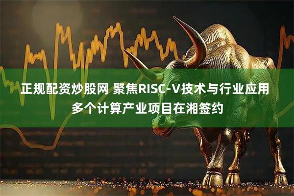 正规配资炒股网 聚焦RISC-V技术与行业应用 多个计算产业项目在湘签约