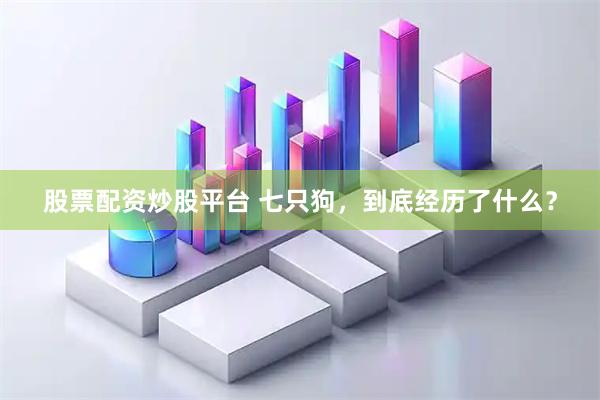 股票配资炒股平台 七只狗，到底经历了什么？